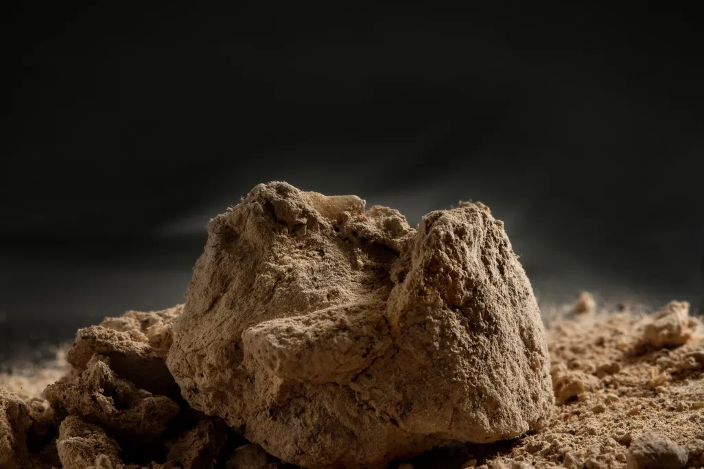 A close-up image of a brown lump that resembles a rock covered in dust