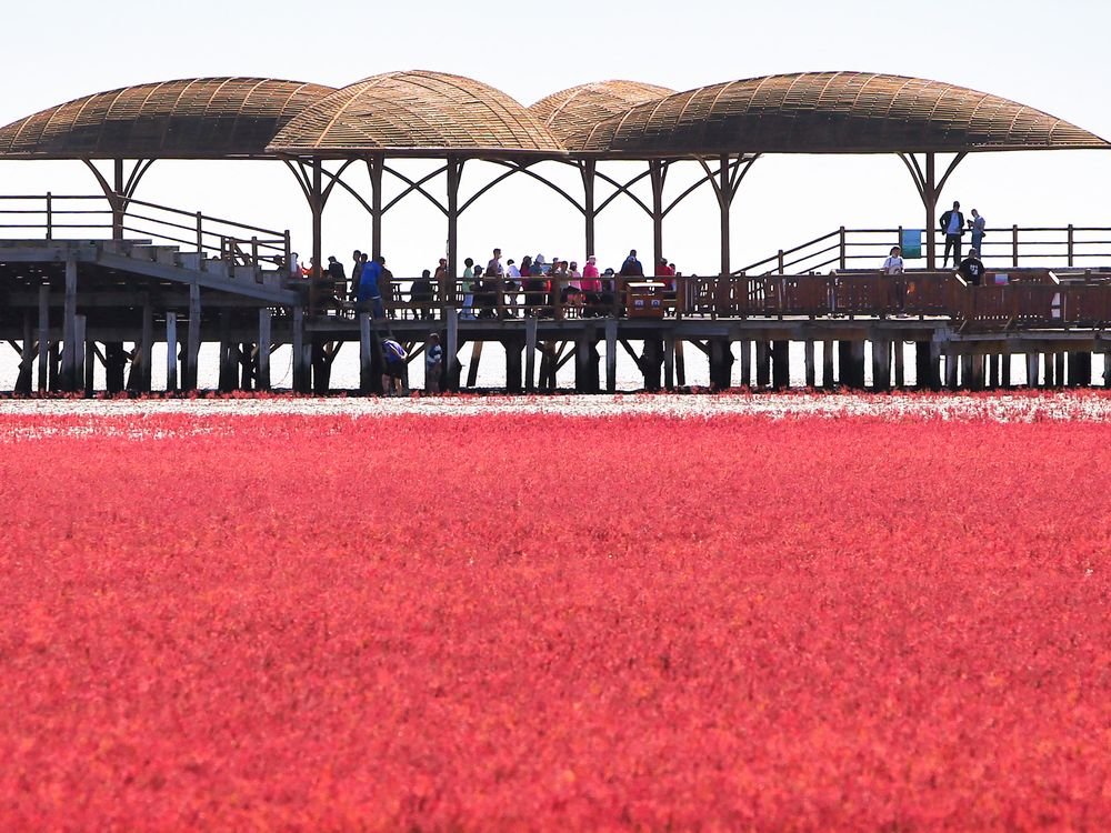 Moonbows, Starling Migrations and Other Rare Natural Phenomena Worth Traveling For