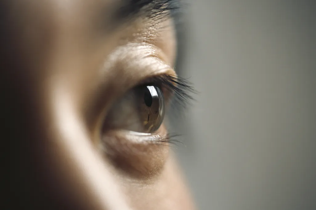 A close up of a person's eye, with their nose and eyebrow visible
