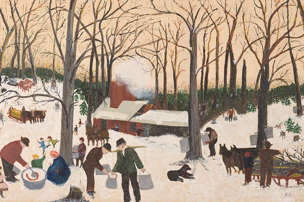 Bringing in the Maple Sugar