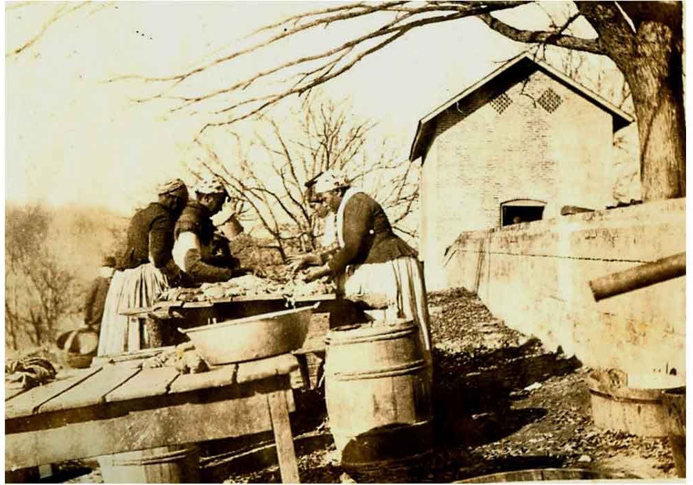 Pork-Processing-at-WessyngtonWEB.jpg