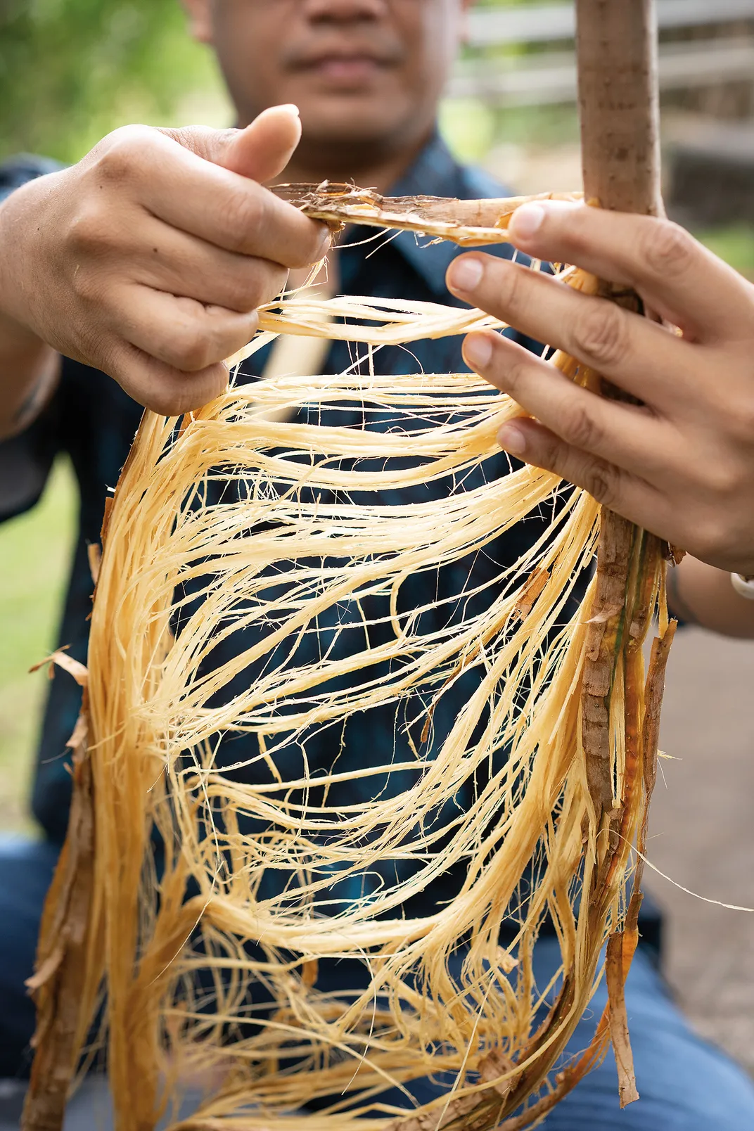 a person holds shredded bark in their hands