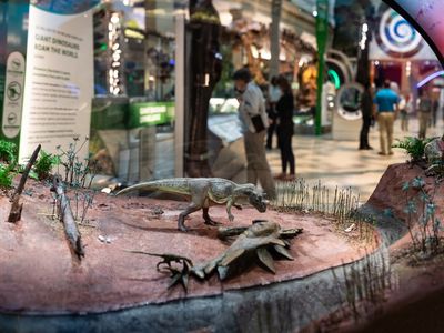 Miniature dinosaurs are staged in a scene from 150 million years ago while guests peruse another display showing the same species at full-size. (Smithsonian Institution)