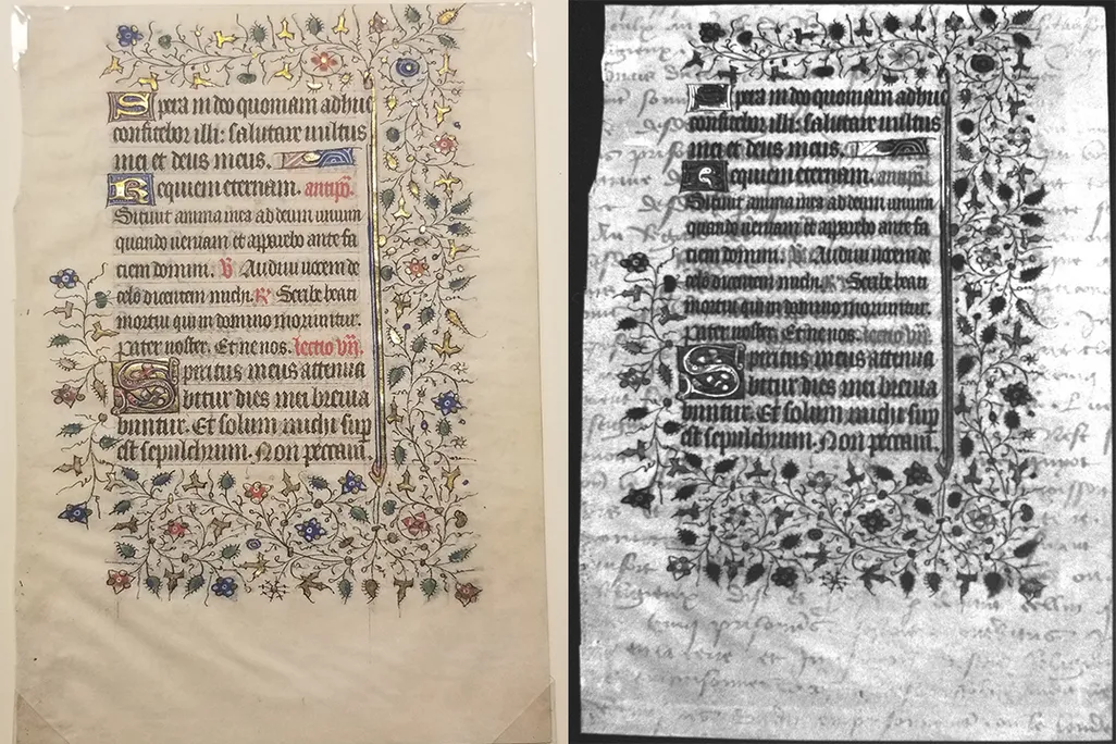 Left, an illustrated manuscript image in color; paper is a pale yellow and ornate Gothic text surrounded by ivy and flowers; right, the same text is black-and-white with the traces of dense cursive script visible, layered below