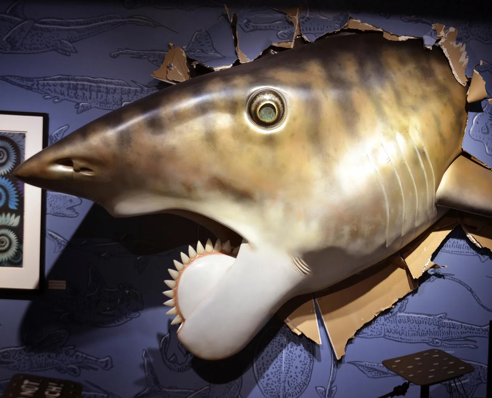 The Prehistoric Buzz Shark Has A Modern Day Hero In Artist Ray Troll Science Smithsonian Magazine