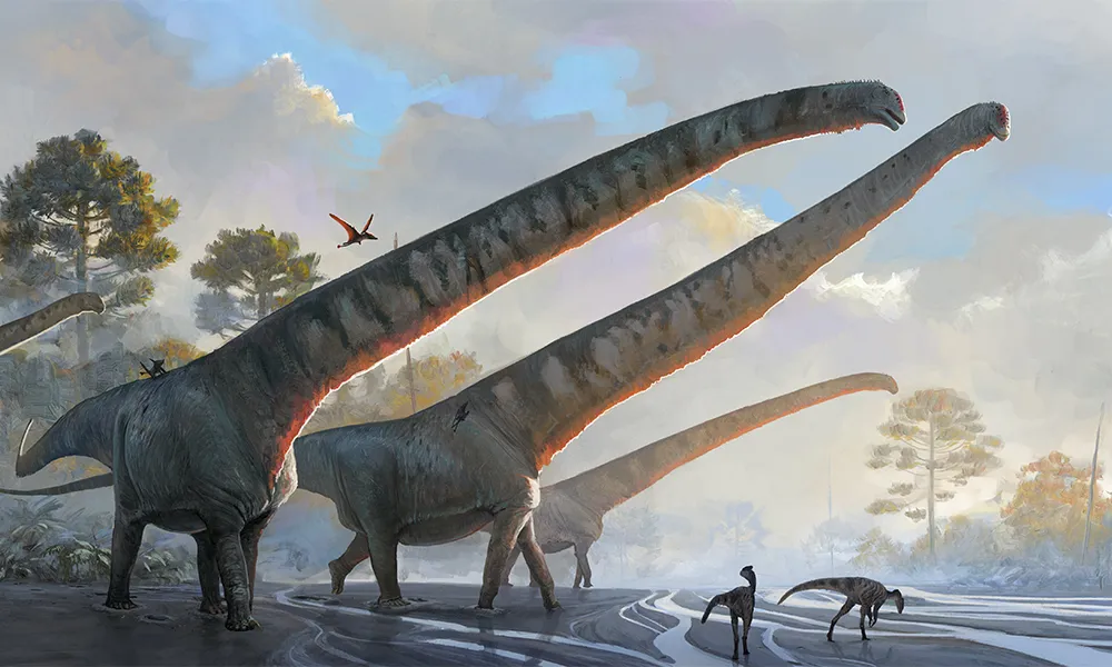 A rendering of long-necked Mamenchisaurus sinocanadorum dinosaurs