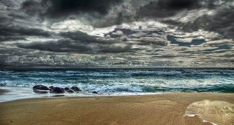 By 2100, the world’s oceans may be radically different habitats than they are today.