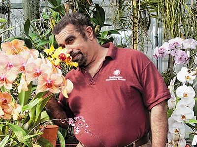 Tom Mirenda helps maintain the nearly 8,000 orchids in the Smithsonian's collection.