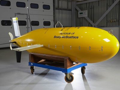 Boaty McBoatface. It is not a boat and it has no face. Please discuss.