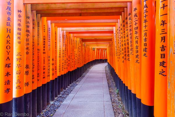 Torii gates, Inari mountain, in Kyoto thumbnail