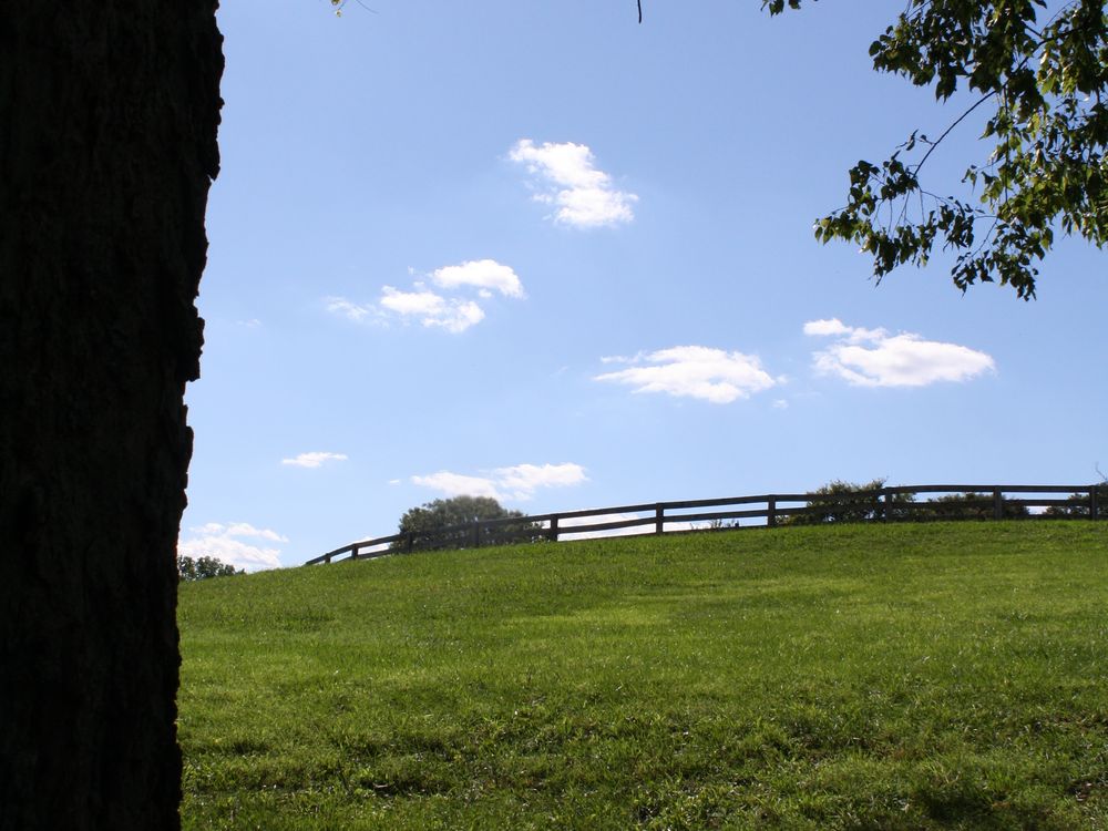 shot taken on a picnic at Maymont park in Richmond VA Smithsonian