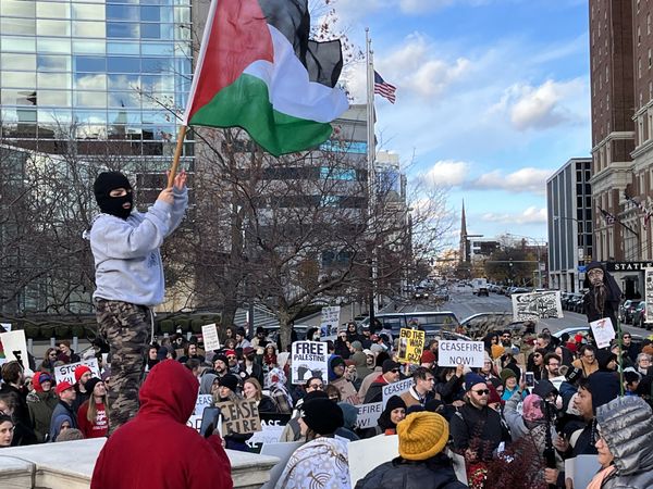 Boy in Mask Waves Palestinian Flag at "Cease-Fire Now" Rally thumbnail
