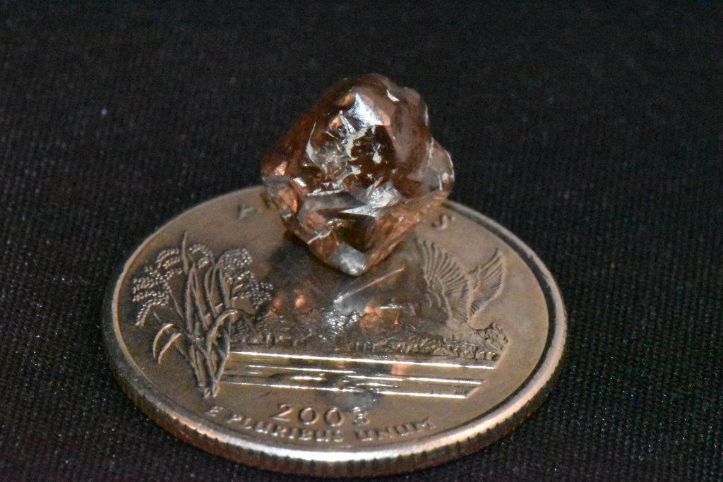 Brown gem sitting atop a coin