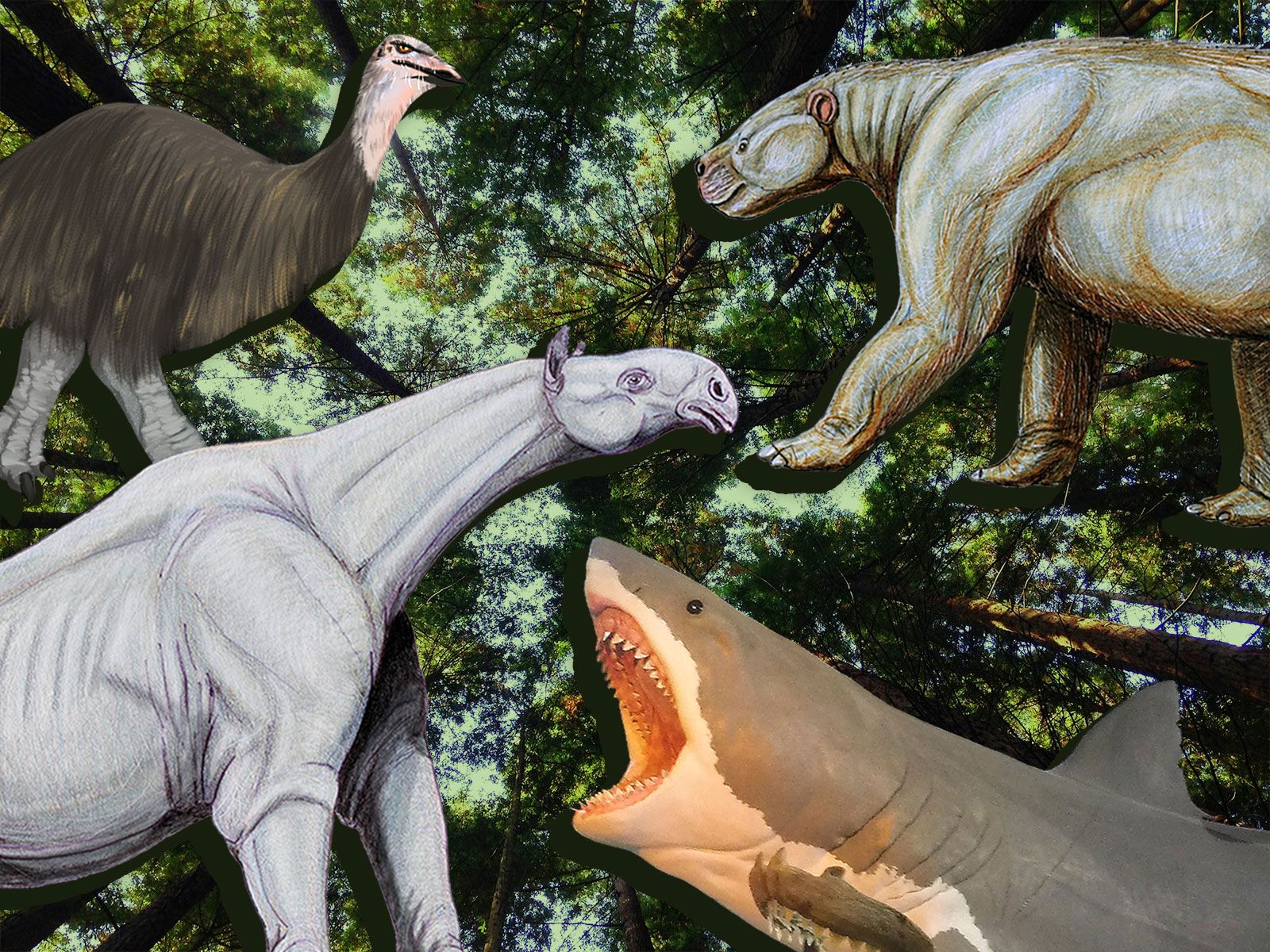 10 Extinct Giants That Once Roamed North America