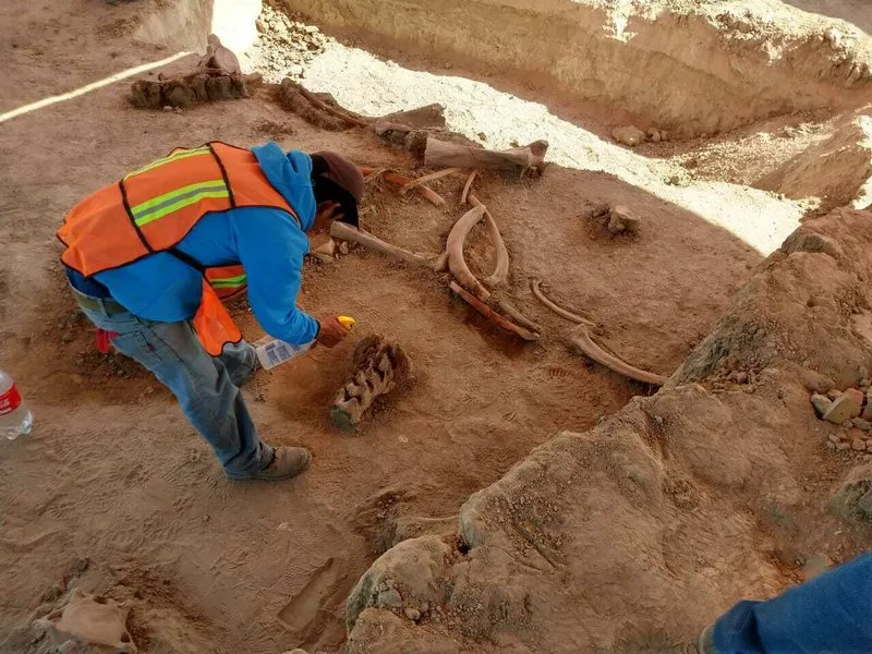 mammoth bones and archaeolgist