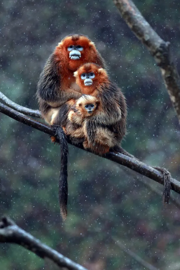 A warm family thumbnail