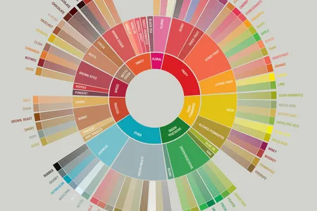 A new flavor wheel groups together different flavor attributes of coffee.