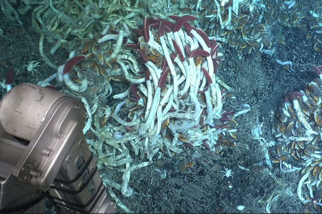 an image of the seafloor with part of the submarine in view