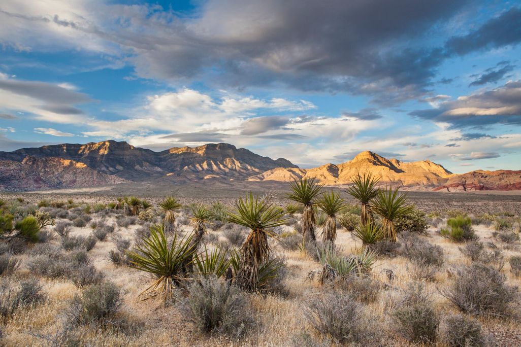 Nevada Mountains