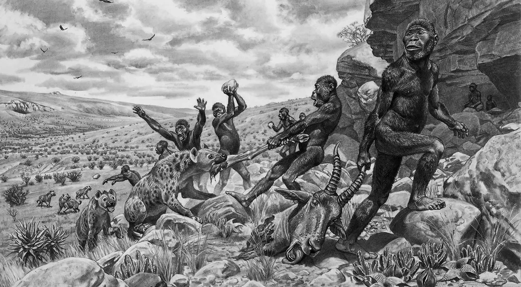 Australopithecines