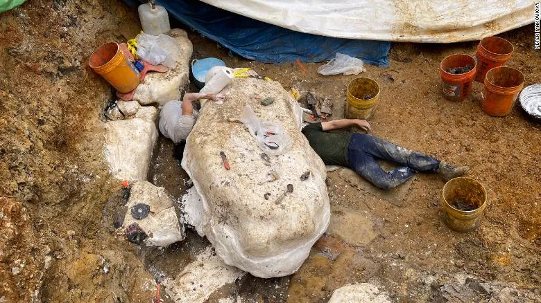 An image of a large dinosaur bone laying in a pit of dirt. Paleontolgists are laying near it clearing away soft wet clay.
