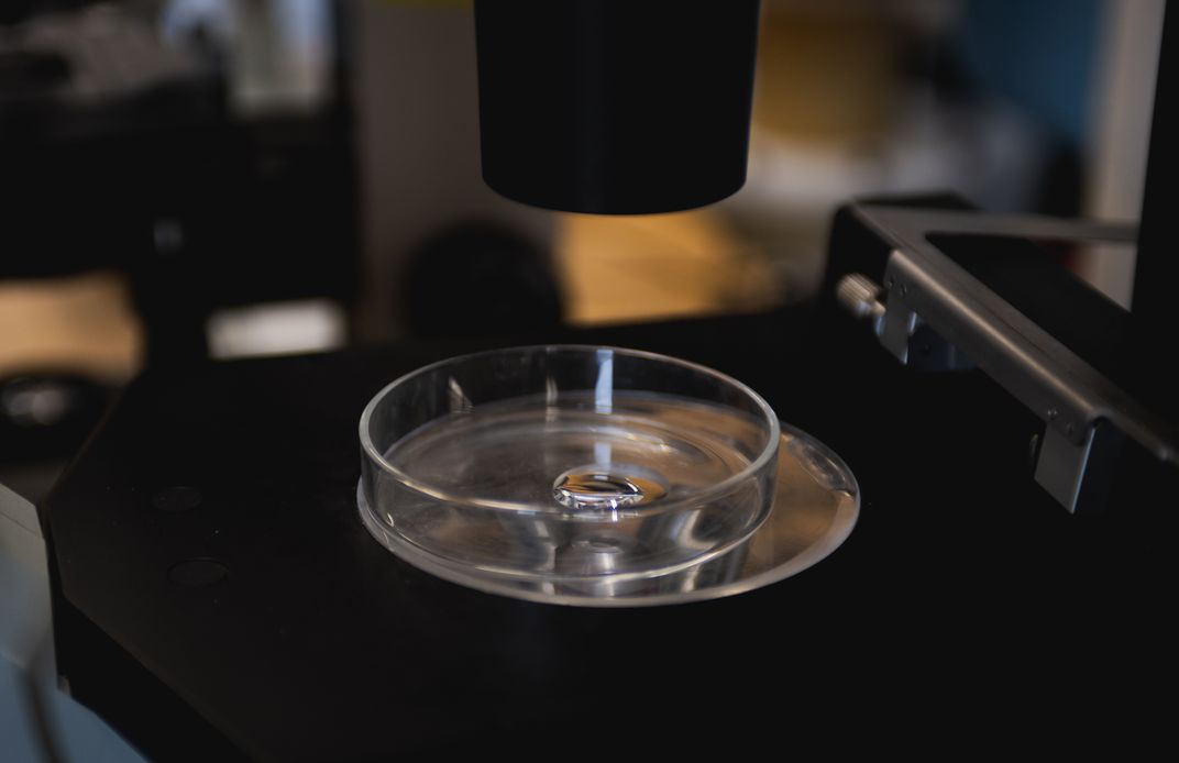 a droplet of water seen under a microscope