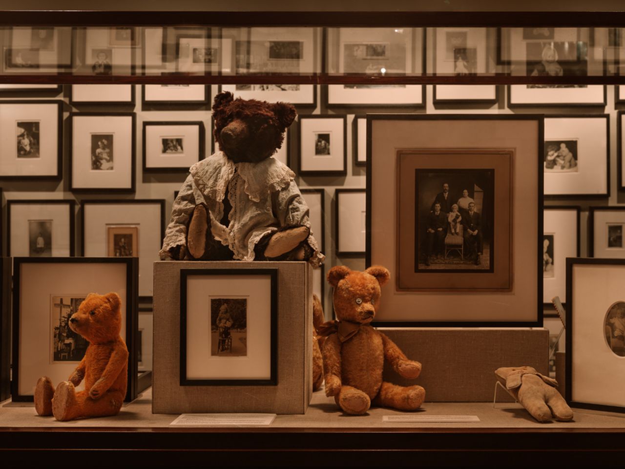 teddy with a photo
