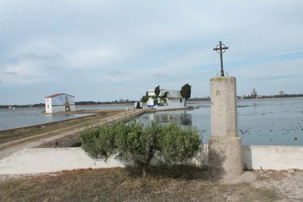 Cross.La Allufera. thumbnail