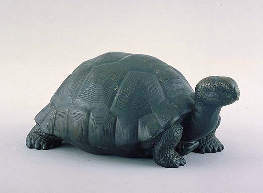 manship_tortoise_AAM_oct16.jpg