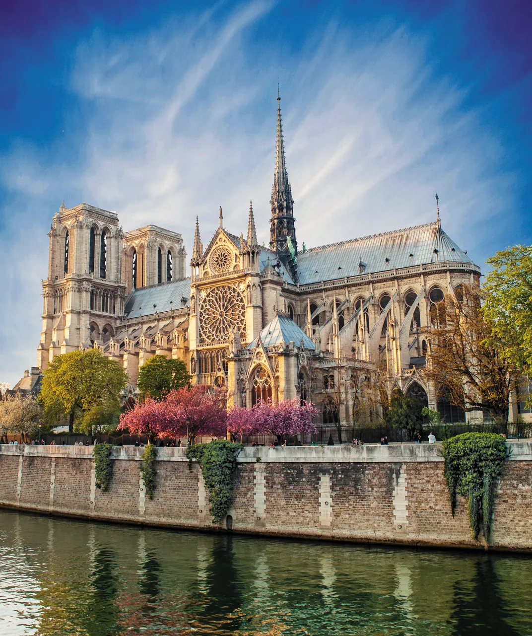 The Cathedral of Notre Dame, Paris
