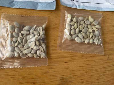 Two packages of unidentified seeds that arrived, unsolicited in the mailboxes of Washington State residents. Packaging appeared to indicate that the seeds originated in China.