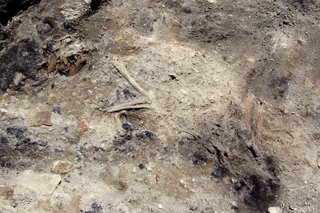 The 1,800-year-old skeleton of a dog, which apparently perished in a blaze in Rome, was discovered during excavations for the metro system.