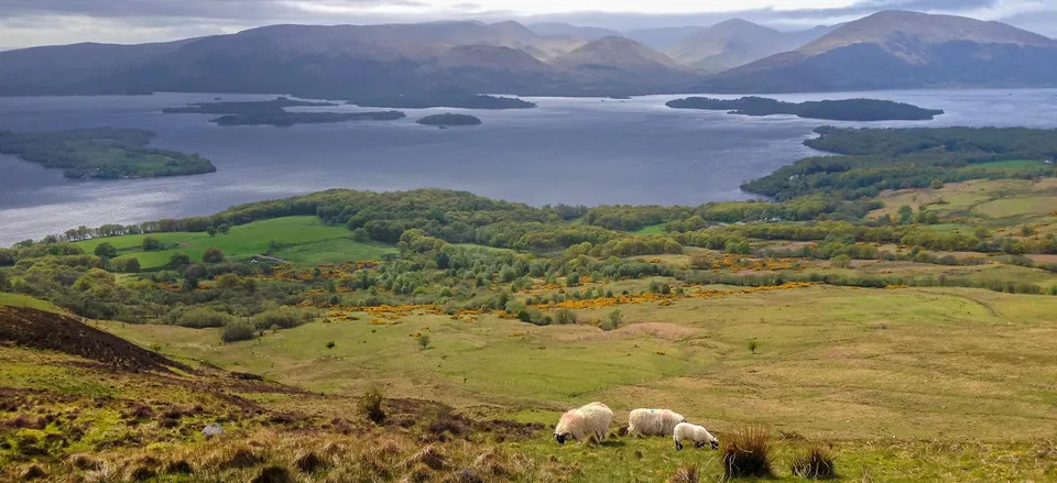  Loch Lomond and the Trossachs 