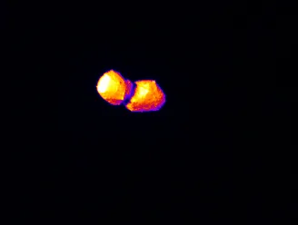 infrared image