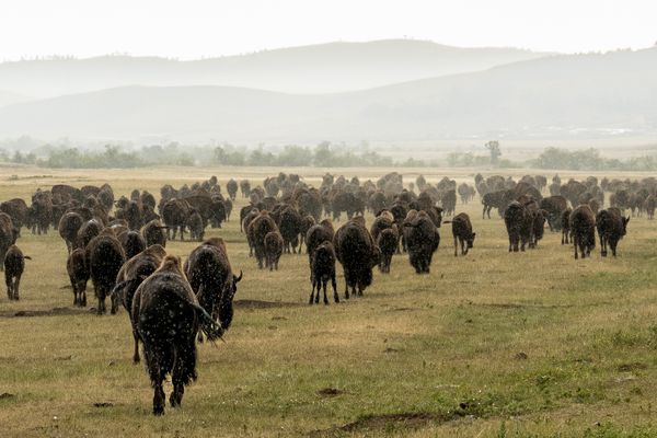 Slow and Steady thumbnail