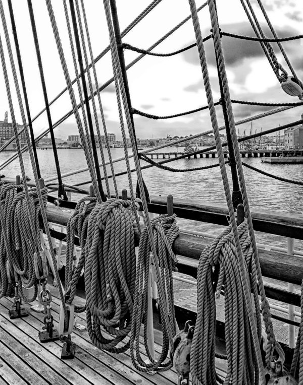 View from the Deck thumbnail