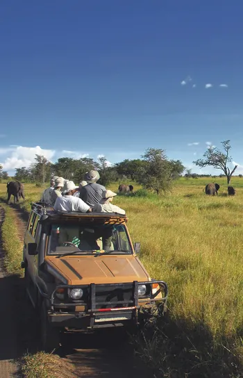 Land Journeys - Jeep on African Safari with people watching wild animals in tall grasses.