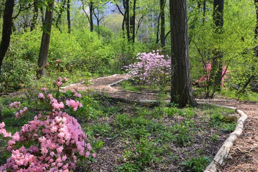 Hallett Nature Sanctuary