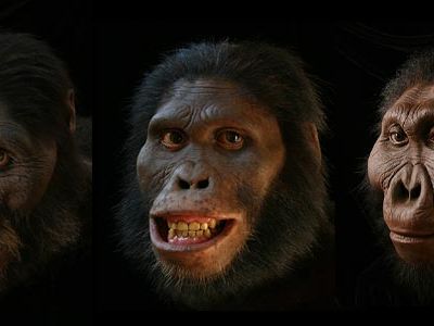 "Paleo-artist" John Gurche recreates the faces of our earliest ancestors, some of who have been extinct for millions of years.