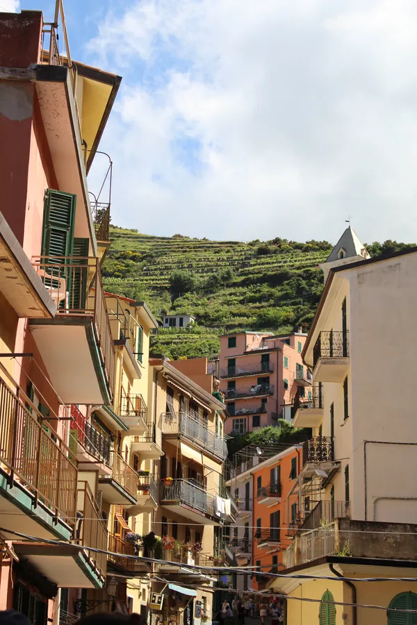 The Palette of Cinque Terre thumbnail