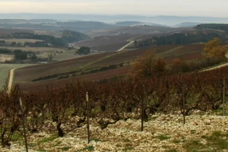 At a major crossroads, Champagne has been at the center of European history during both war and peace for millennia. Named campania by the Romans for its high plains and open hills suitable for planting fields of grains, grapes, and other products, Champagne remains one of the most important and productive agricultural regions in France.