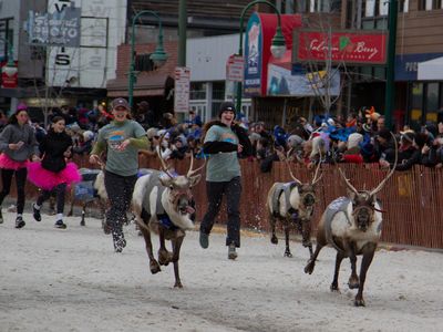 Ever since it debuted in 2008, the Running of the Reindeer has become one of the signature events of the Fur Rendezvous Festival.