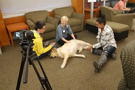 Stress-relief programs that integrate therapy pets can help students relax as they talk and think about their stressors without overwhelming themselves and may be more effective at providing relief than academic approaches to stress management.