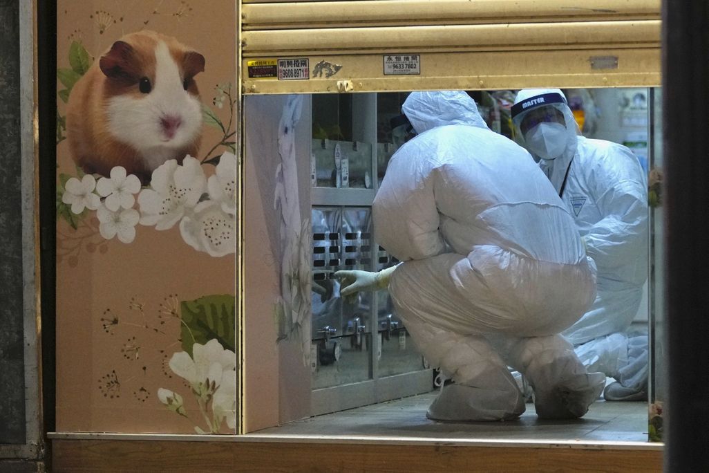 Two people in hazmat suits crouch inside a pet shop.