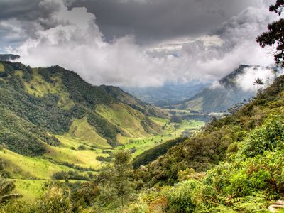 With its peace accords up in the air, the Colombia's diverse ecosystems face an uncertain future. Shown here: the valley of Cocora near Salento, Colombia.