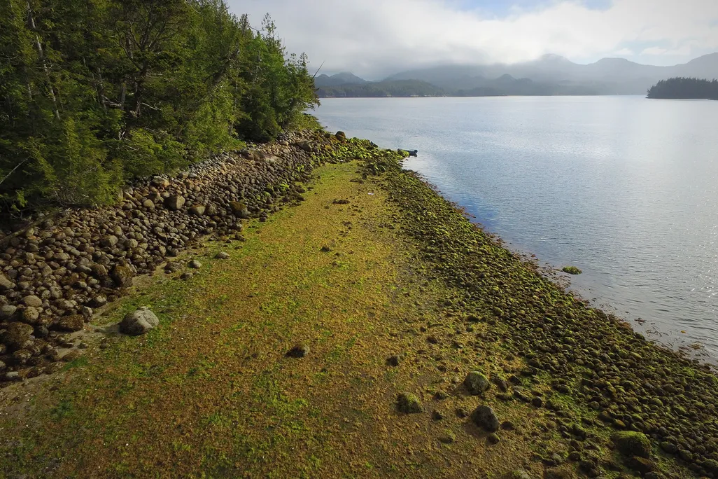 Clam Garden