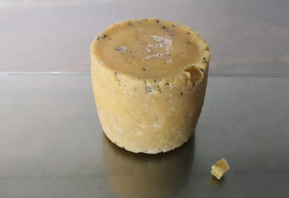 Cheese