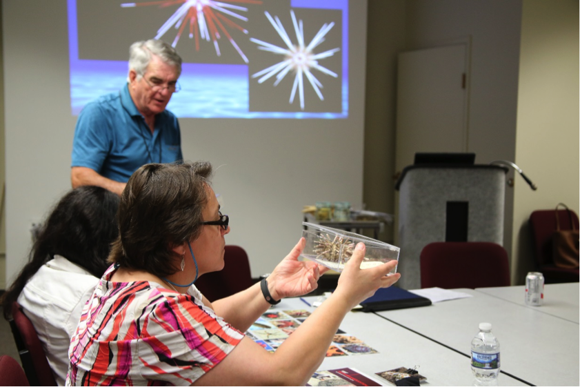 Dr. David Pawson interacts with attendees of SSEATs observing samples of echinoderms collected by Smithsonian scientists. 