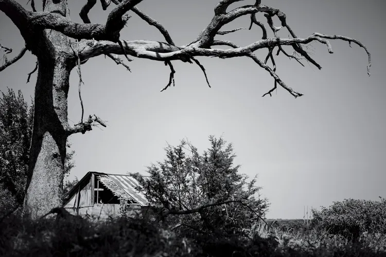 Seminole County landscape 