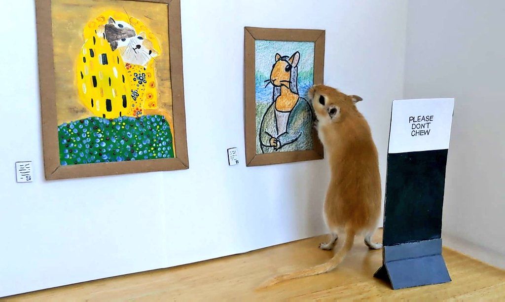 Gerbil museum